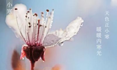 2020年2月19日雨水节气有什么禁忌事项？雨水宜忌有哪些？