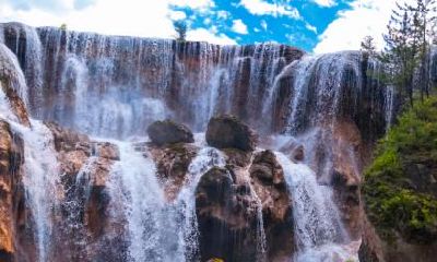 2020年腊月二十四小年出生女孩五行缺木取名属木的字大全！