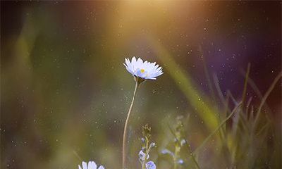 2023年农历三月廿二日办满月酒行吗