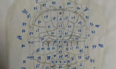 面相学，面部部位的痣所代表的含义