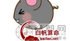 如何追求生肖鼠女生