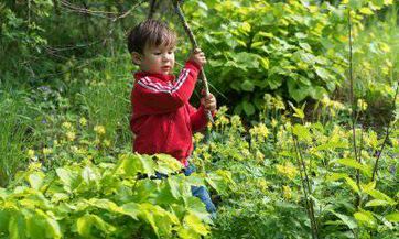 2023年6月8号出生郭姓宝宝取名叫什么