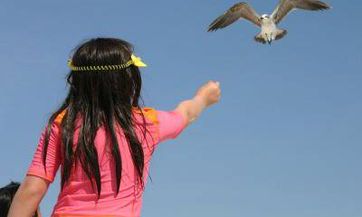 2024年10月15号出生的女宝宝名字