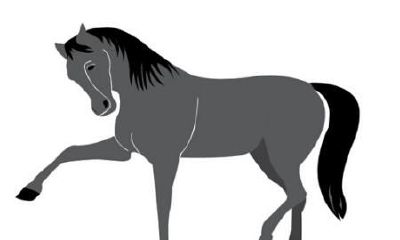 各个年份属马的人2020年运势