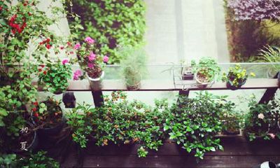 2017鸡年农历十月出生男孩名字 2017年阴历10月男宝宝起名