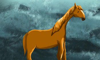 属马人2018年运势大全及破解