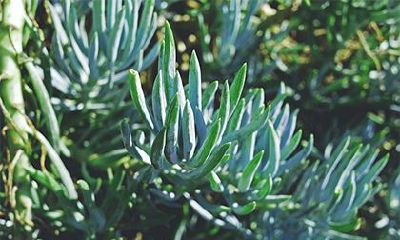 2022年夏季的农历装修吉日一览