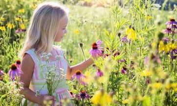 蒋姓女孩名字2023年9月7日出生的