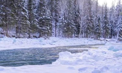 冬至出生生肖属龙的运势怎么样？命运好不好？