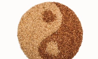 八字合婚：谁就是你的正缘？