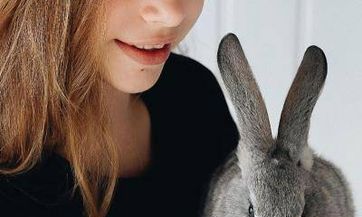 2023兔年宝宝名字女孩卢 姓卢的女孩名字古风点的