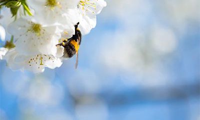 滕姓在百家姓排在哪里？姓氏得姓于谁？