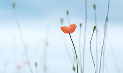 2023年农历四月初一可以开业吗 开业有什么风水讲究