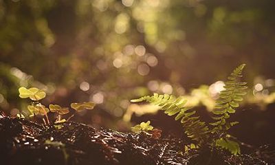 2023年农历三月十三是什么日子 这天适合开业庆祝吗