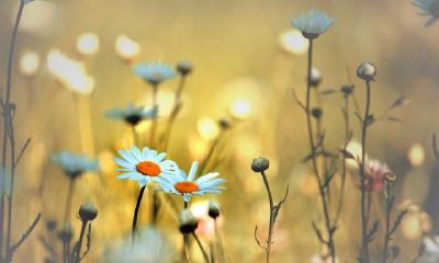 12星座每日运势：2月26日 容易闹情绪的一天