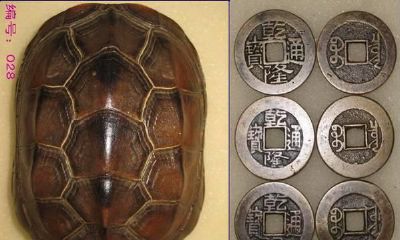 周易文化：六爻占卜预测你不知道的事！