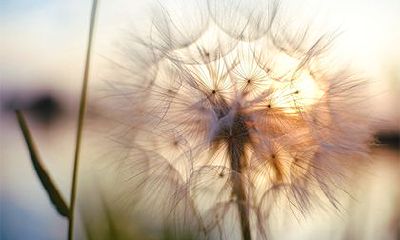 十一国庆节前一天出生的人命运命格怎么样
