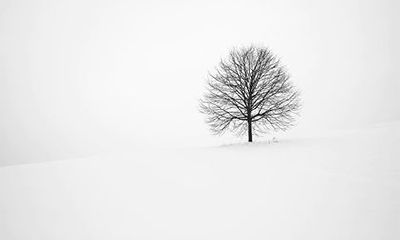 2023年甲子日是哪一天,甲子日柱生于各月精论