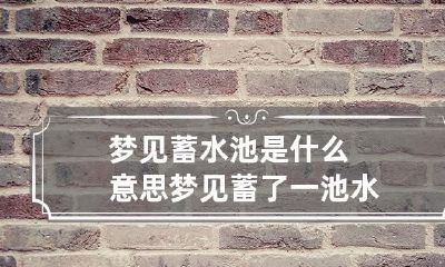 梦见蓄水池是什么意思 梦见蓄了一池水