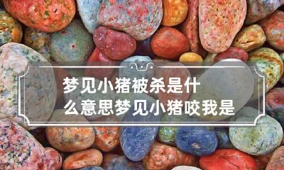 梦见小猪被杀是什么意思 梦见小猪咬我是什么预兆