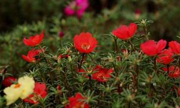 水瓶男喜欢你的暗示