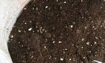 水瓶座男生的撩妹手段有哪些