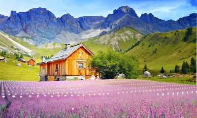 2019年十二月二十七出生的男孩如何根据宜用字木来起名字，