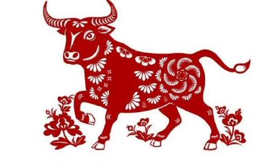 更新认知能力：属牛人老实巴交皆平庸之辈？这种牛人会有多牛？超震惊吧！