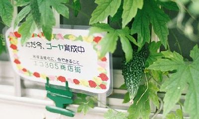 姓蔚女孩有寓意的名字大全