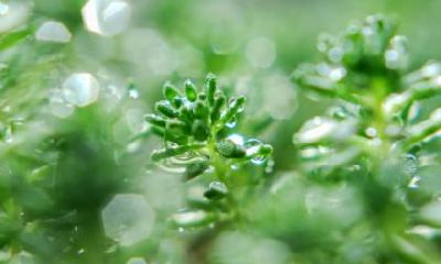 2020年白露前一天七月十九出生宝宝命运解析！