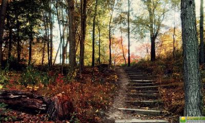 公历2019年3月13号子时出生的女宝宝怎么取名字，宜用哪些字