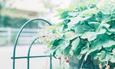 姓晁女孩有寓意的名字大全