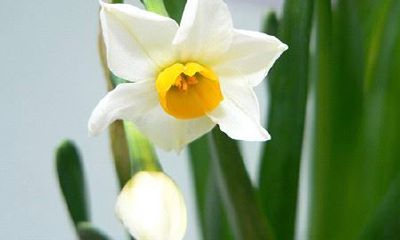 姓阚女孩有寓意的名字大全