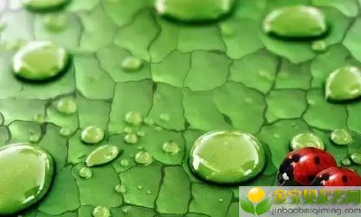 秋分凌晨出生的男宝宝起什么名字好，怎么运用八字取名