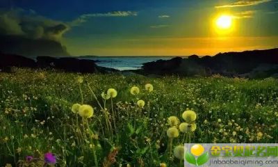 2019年4月12号早上出生的女宝宝怎样取个不重名的好名字