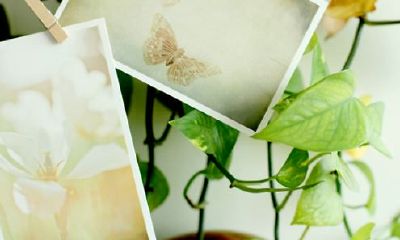 姓居女孩有寓意的名字大全