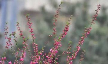 87属兔男和90属马女在一起合适吗，男大3岁婚姻好不好