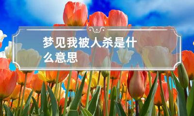 梦见我被人杀是什么意思