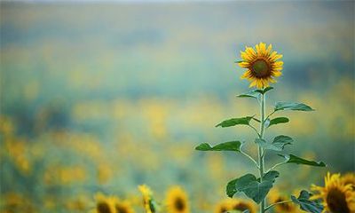 2022农历虎年四月十四这天是黄道吉日吗？