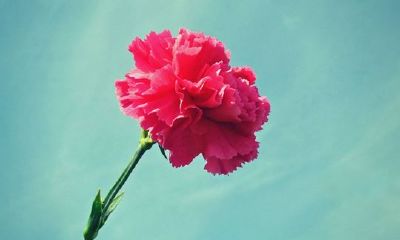 姓宦女孩有寓意的名字大全