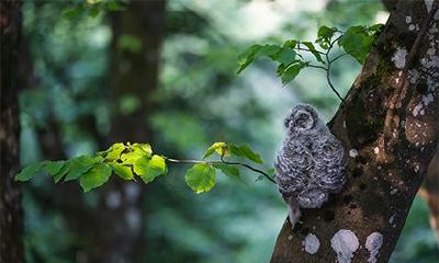 2022年农历四月初八母亲节黄历日子怎么样？是吉日吗？