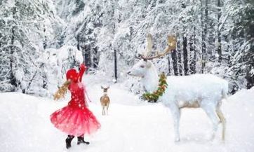 叶姓和尹姓的女孩名字