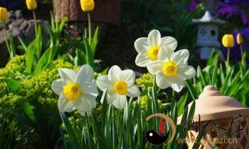 这几个十二星座的人，有孝道重情义，工作就算碰到阻拦最后也会取得成功