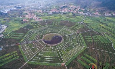 预测分析还得看六壬