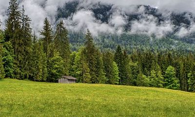 农历2022年虎年四月初五立夏是好日子吗？