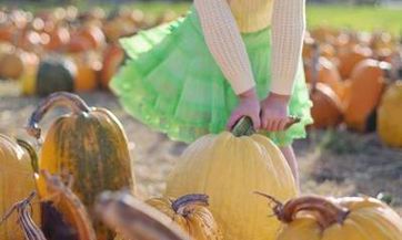 2023兔年姓卓女宝孩如何取名 今年很流行的卓姓女宝宝名字参考