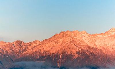 莘姓在百家姓里吗排第几名？莘姓是辛姓吗？