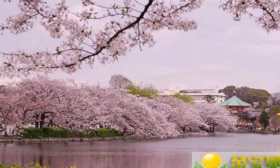 2019年7月3日子时（23.00-00.59）出生的男宝宝怎么样取名更好，