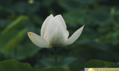 公历2019年3月25号子时出生的女宝宝如何起名，宜用字是什么