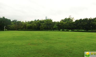 公历2019年3月26号巳时出生的女宝宝该怎么起名，宜用字又有哪些